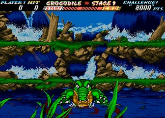 image de The First Funky Fighter